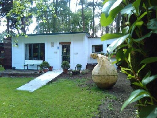 uma casa branca com um grande vaso no quintal em Helpende Hand em Oelegem