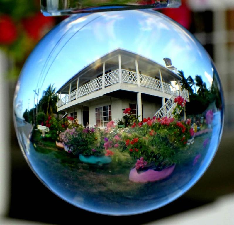Zahrada ubytování Posada Sunshine Paradise