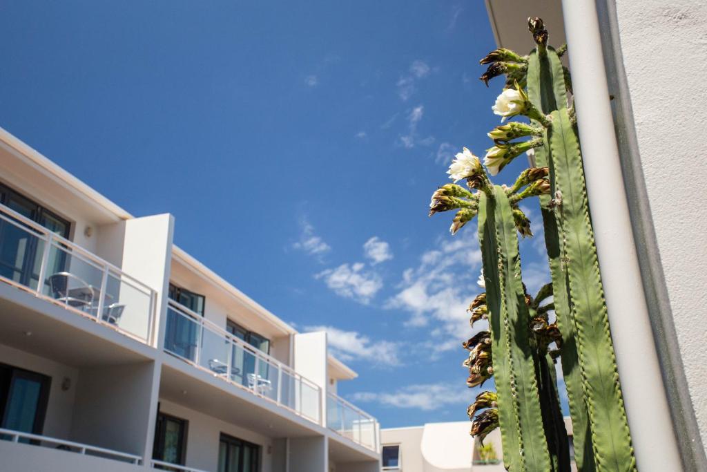 Capri on Pilot Bay - Resim 19