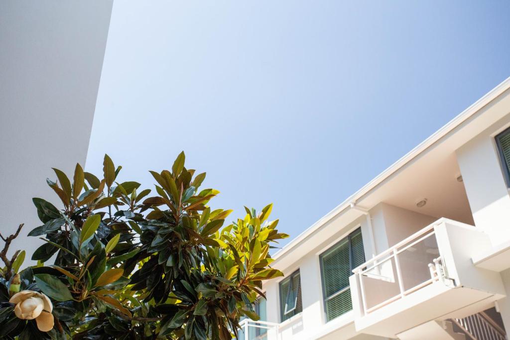 Capri on Pilot Bay - Resim 36