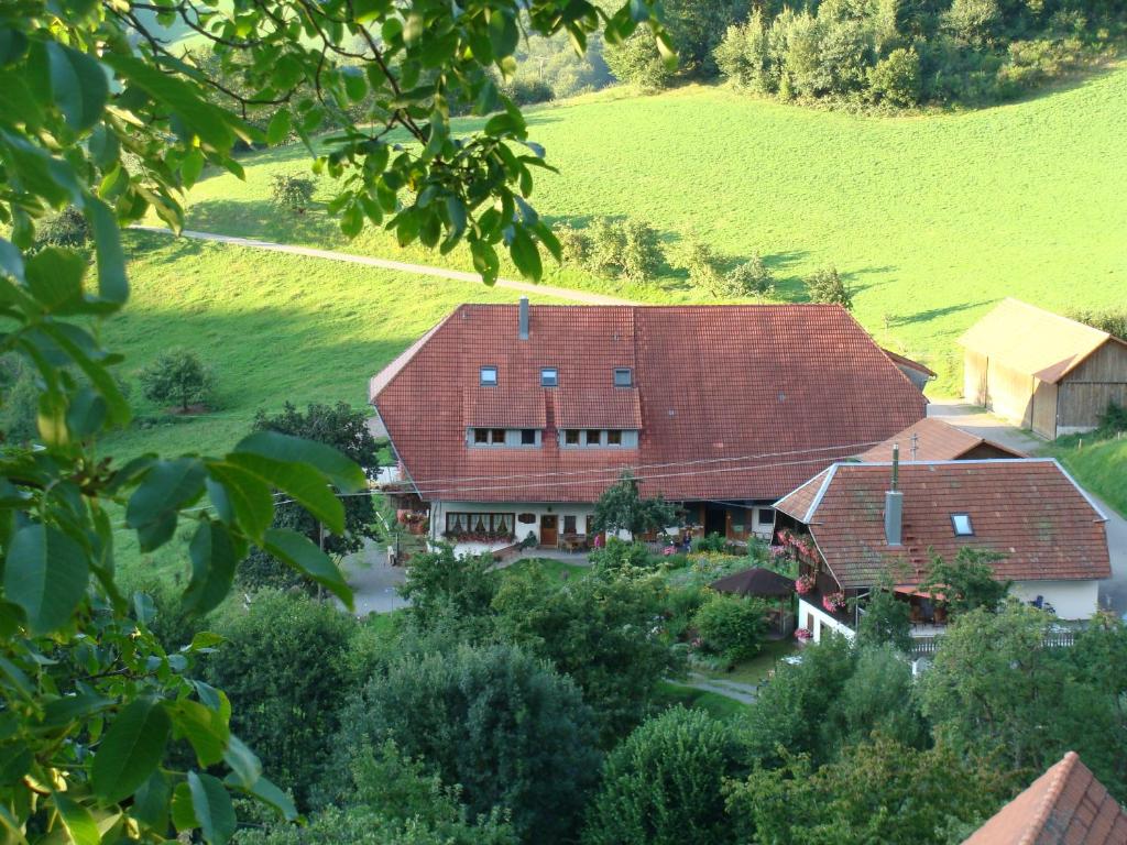 an aerial view of a house in a field at Ferienwohnung HOF in Mühlenbach