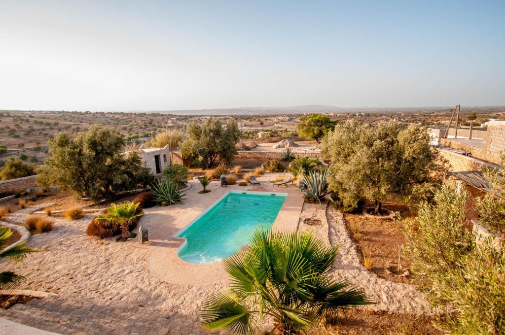 ein Bild eines Pools in einer Wüste mit Bäumen in der Unterkunft Dar ZINZIN in Essaouira