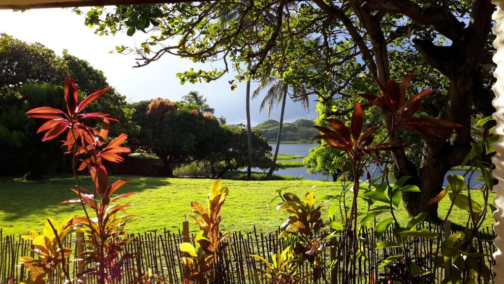 a garden with a fence and a field of grass at Suites na lagoa in Paracuru