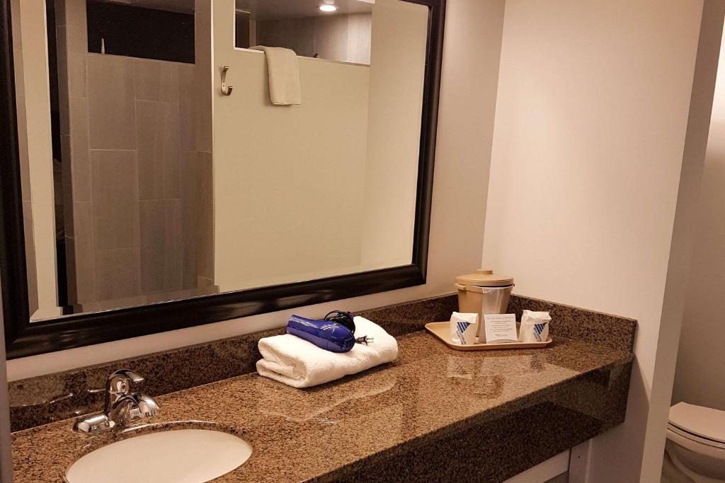 Koupelna v ubytování Quality Inn West Edmonton