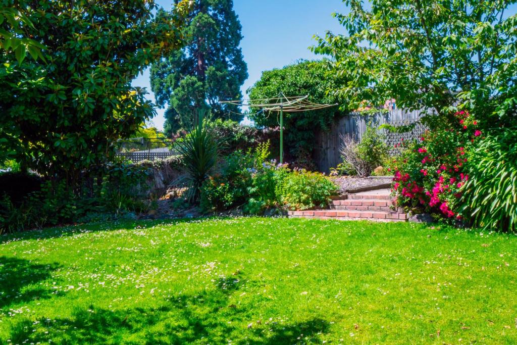 The Ocean Breeze CBD - Resim 38