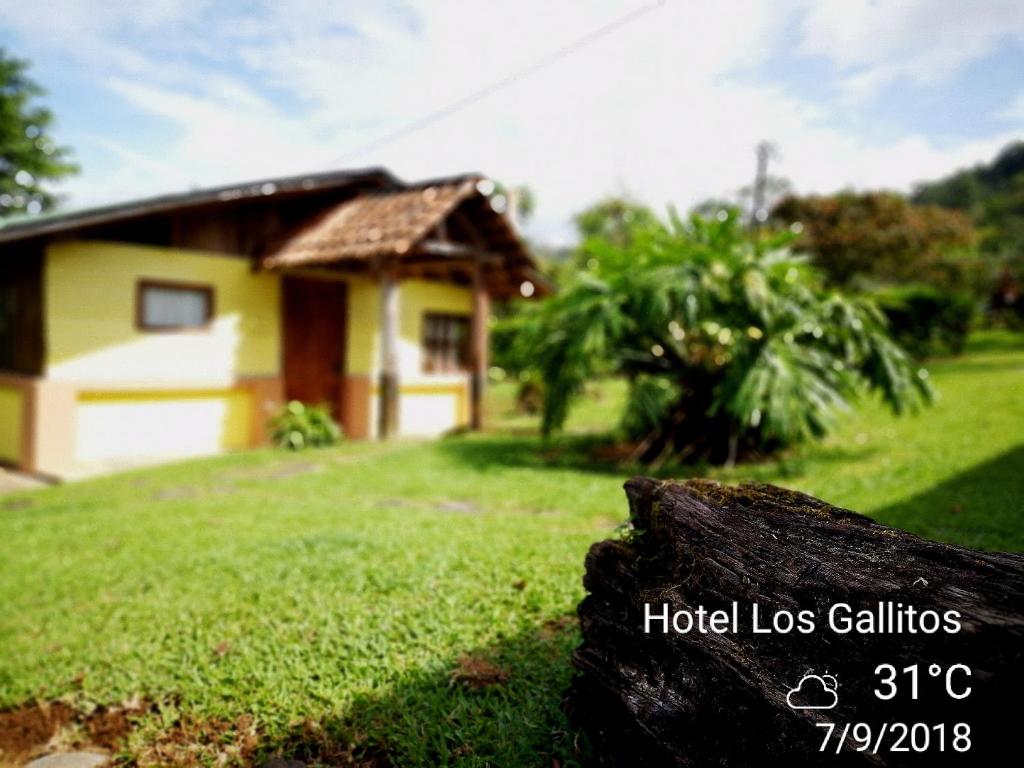 Los Gallitos Eco Lodge - Grote Tweepersoonskamer