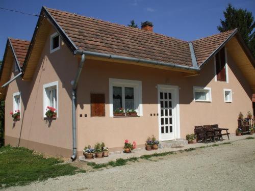 a house with potted plants in front of it at Fazekas Vendégház és Kemping in Őriszentpéter