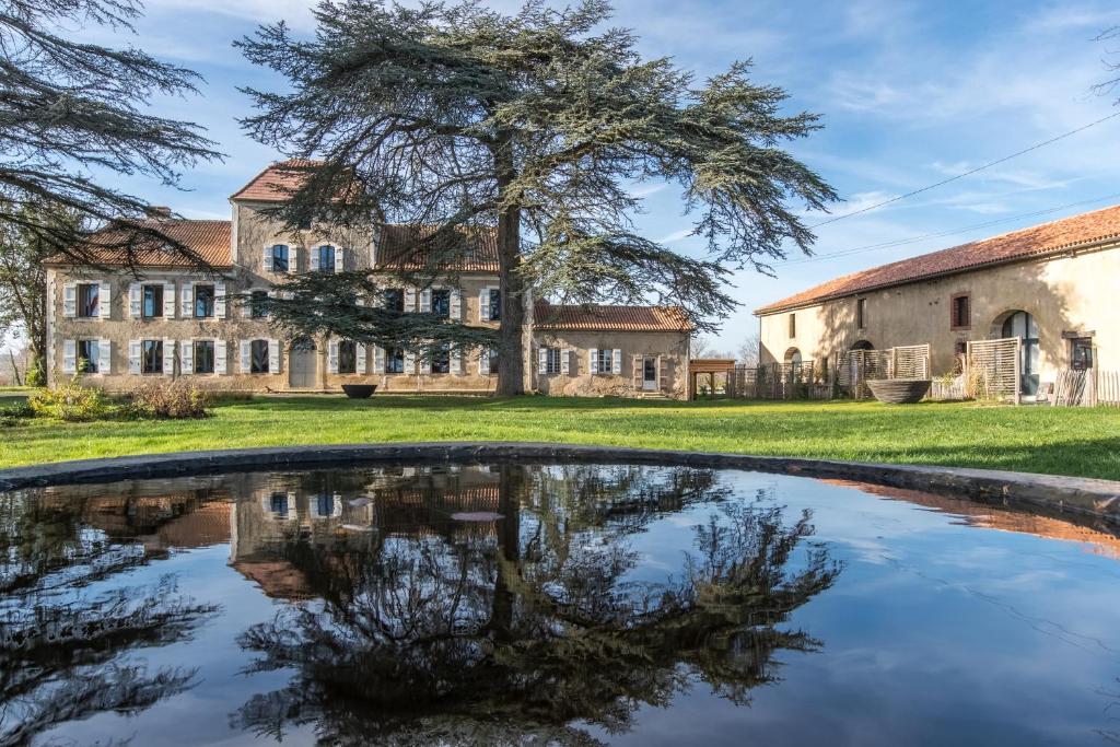 an old building with a tree and a pool in front of it at Château de Maumusson in Maumusson-Laguian
