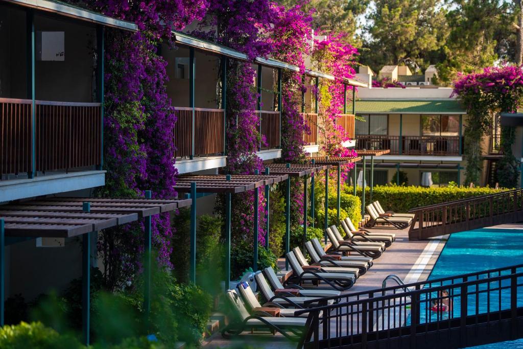 Bazén v ubytování Turquoise Hotel nebo v jeho okolí