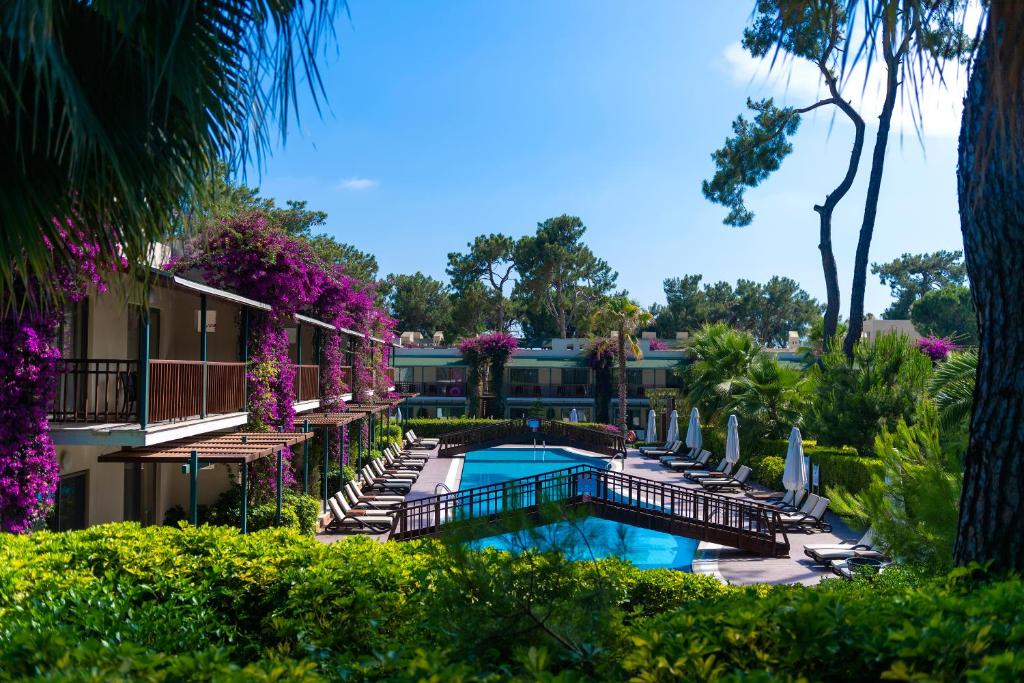 Bazén v ubytování Turquoise Hotel nebo v jeho okolí