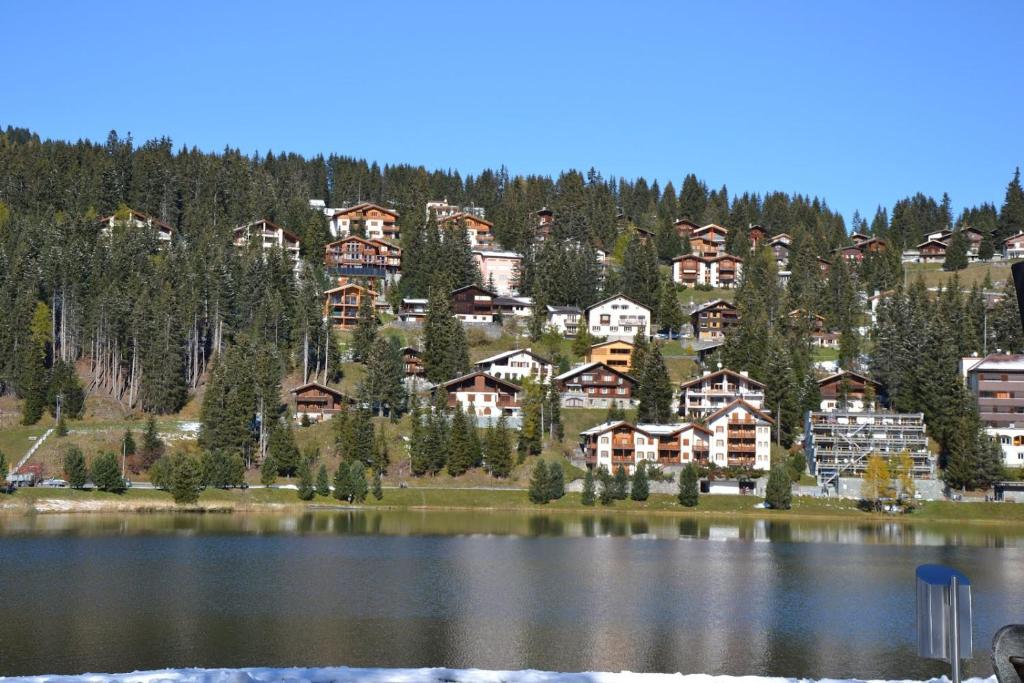 Příroda nedaleko apartmánu