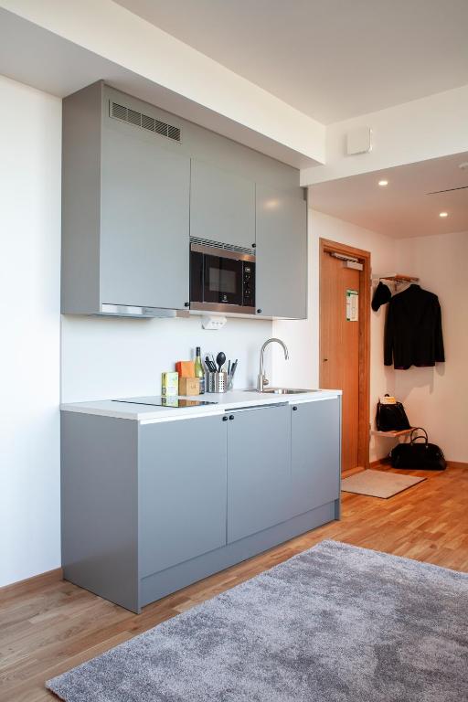 Kuchyň nebo kuchyňský kout v ubytování First Hotel The Studio