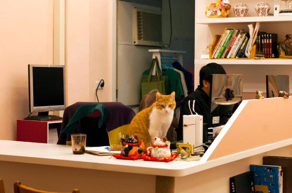 TV a/nebo společenská místnost v ubytování 3 Feet Cat