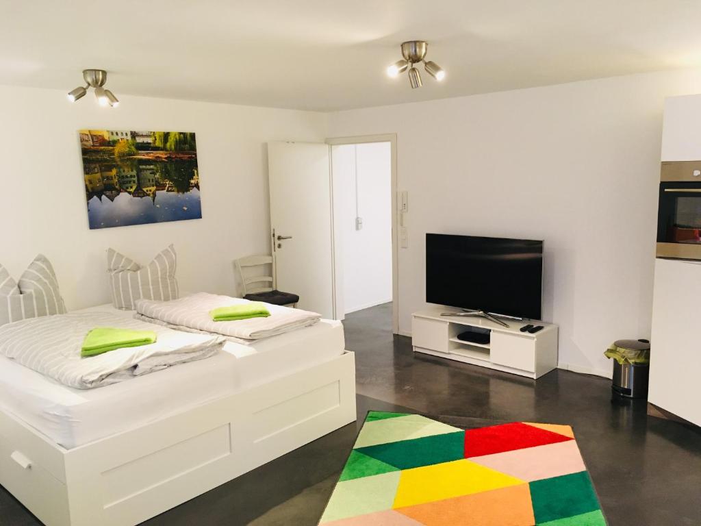 テュービンゲンにあるRuhige Wohnung in zentraler Lage Tübingensのリビングルーム(ベッド2台、薄型テレビ付)
