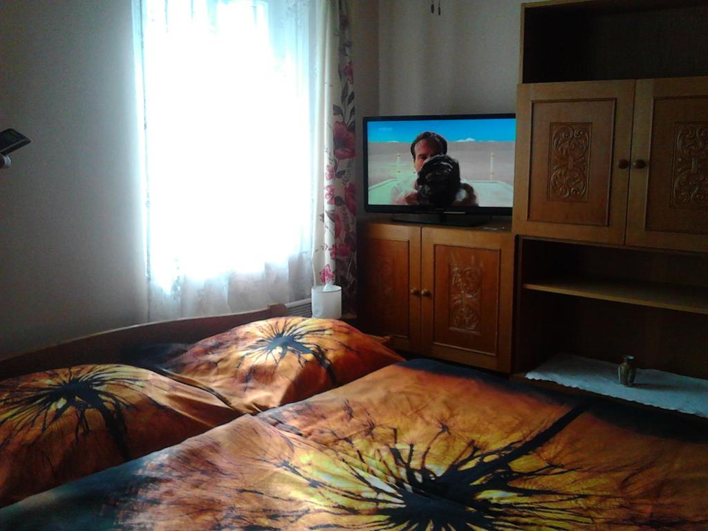 TV a/nebo společenská místnost v ubytování Jiřetínská chaloupka