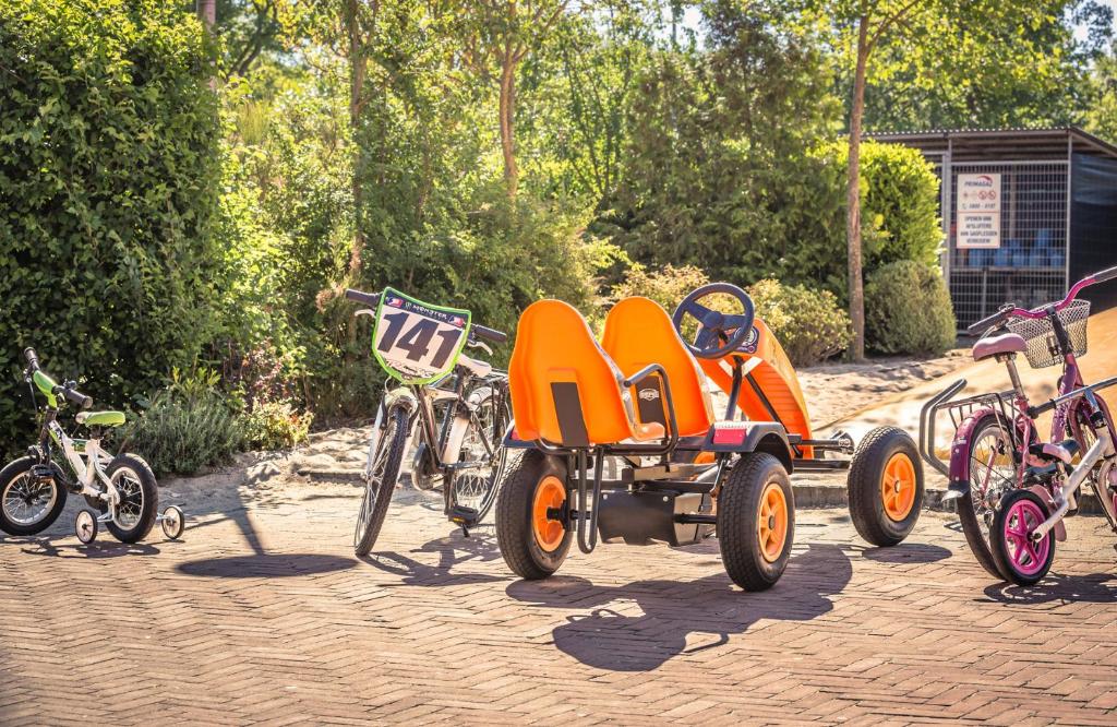 Jízda na kole v ubytování Vakantiepark de Luttenberg nebo okolí
