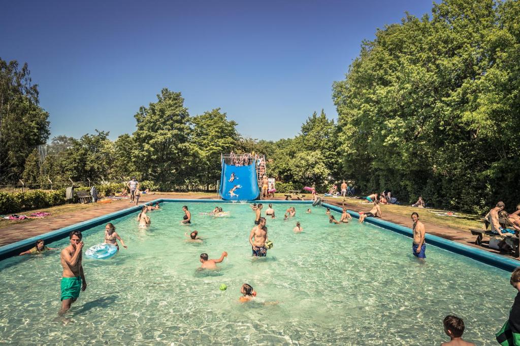 Bazén v ubytování Vakantiepark de Luttenberg nebo v jeho okolí