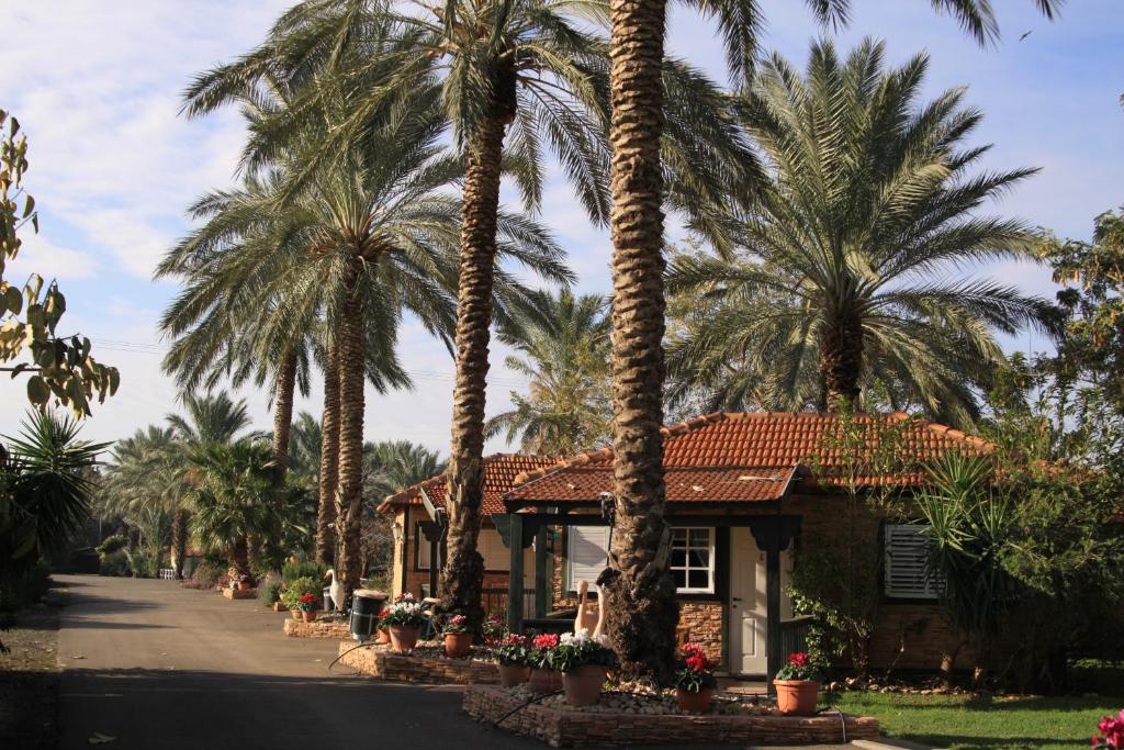 Sodas prie apgyvendinimo įstaigos Batei Nurit