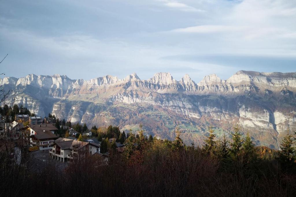 Příroda nedaleko apartmánu