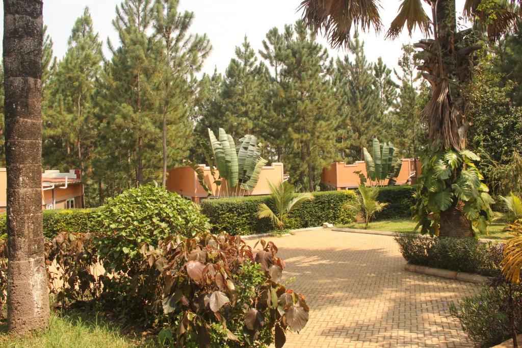 Saltek Forest Cottages في Masindi: حديقة بها نخيل ومبنى في الخلفية