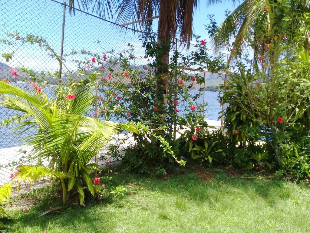  Pier 99 Suites