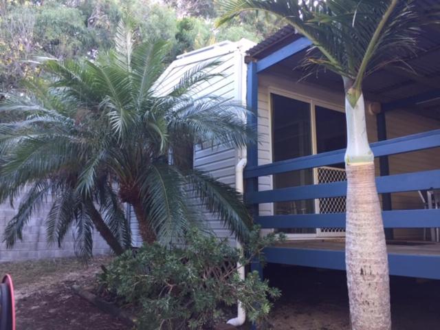 a house with two palm trees in front of it at Elouera Units in Fraser Island