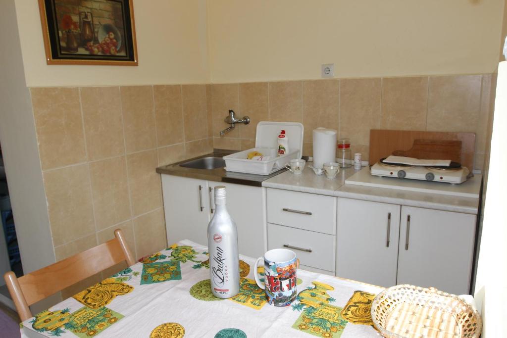 Kuchyň nebo kuchyňský kout v ubytování Guest House Olga