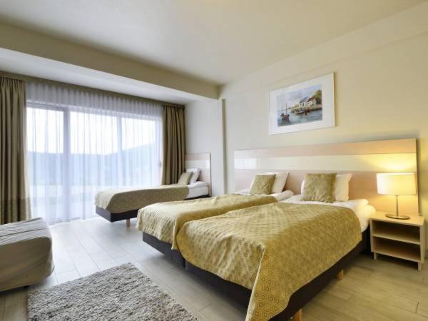 pokój hotelowy z 2 łóżkami i oknem w obiekcie Apartament Czarna Góra w mieście Sienna