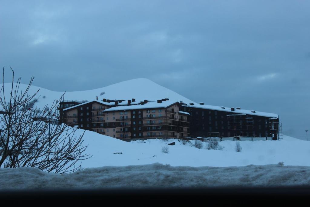 Royal's apartment gudauri trong mùa đông