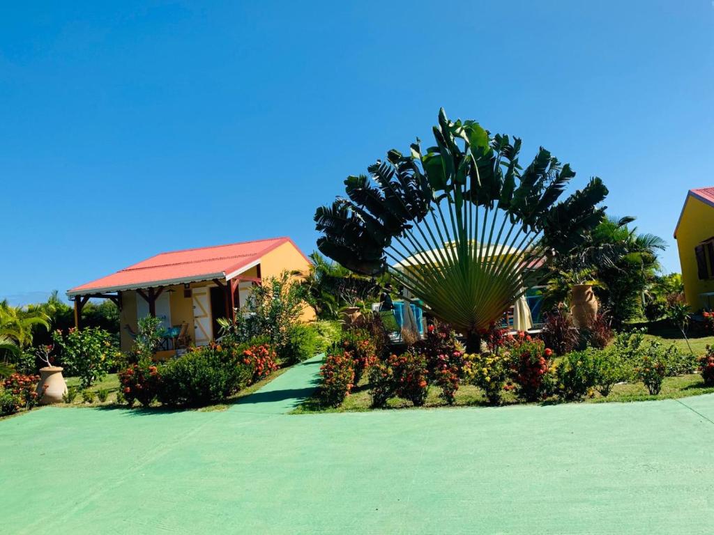 a garden with a palm tree and a house at Les Palmes du Moulin in Saint-Louis