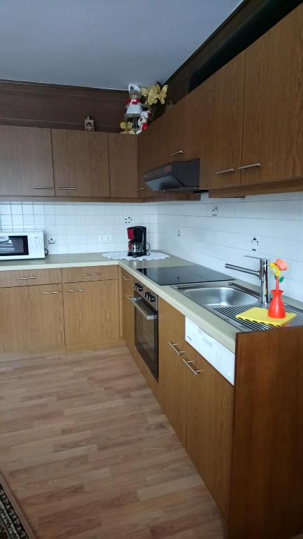 Kuchyň nebo kuchyňský kout v ubytování Haus Wastl