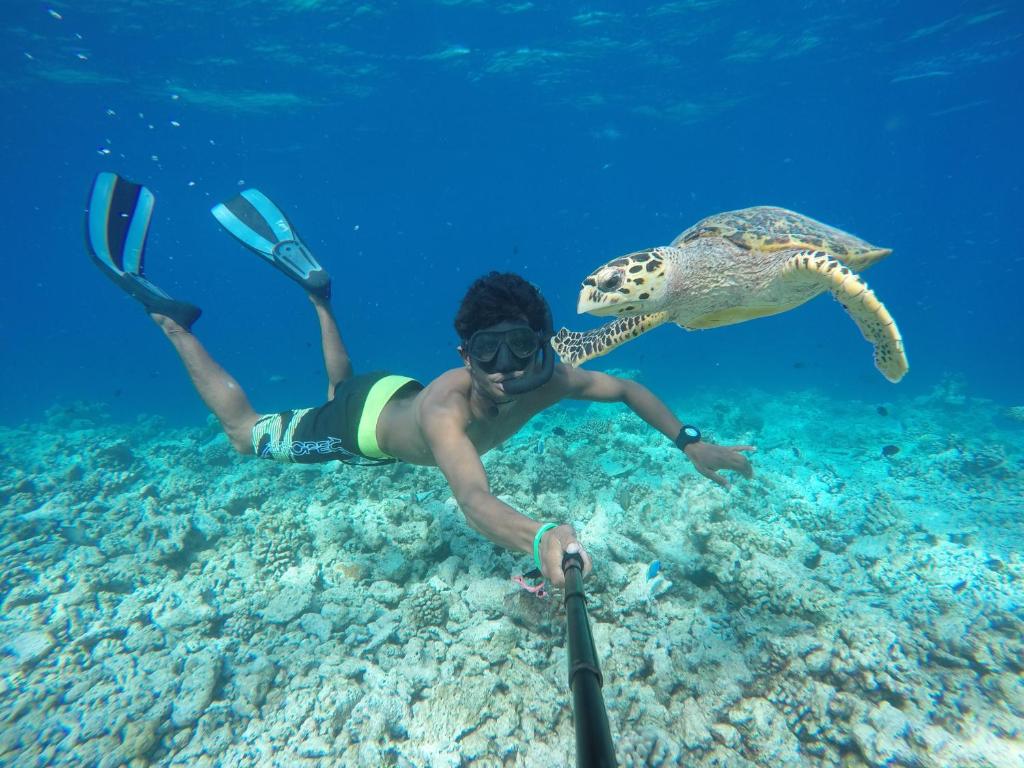 Hosté ubytování Koimala Beach Ukulhas