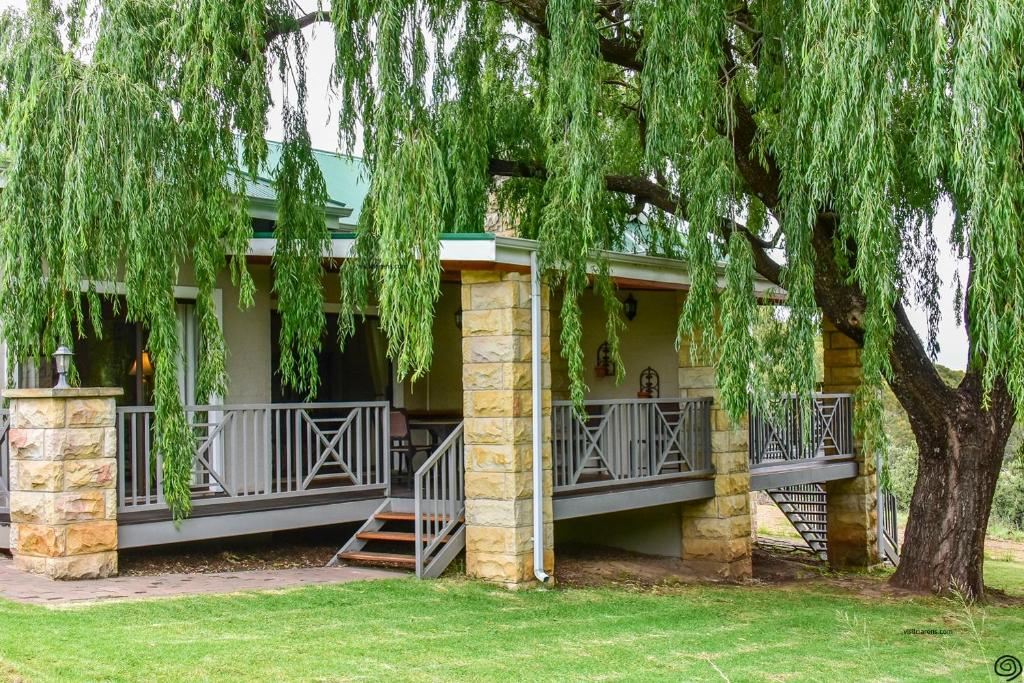 Κήπος έξω από το Willow Creek Villas