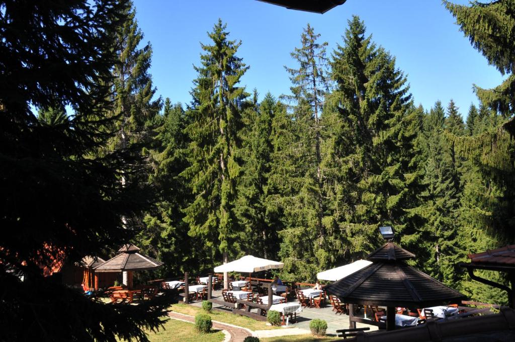 Příroda nedaleko hotelu