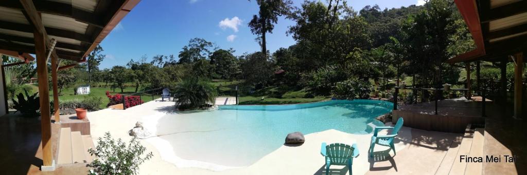 a large swimming pool with chairs in a backyard at Mei Tai Cacao Lodge in Bijagua