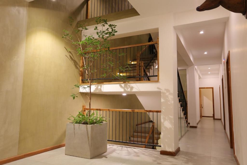 Fotografie z fotogalerie ubytování Lotus Lake Residence v destinaci Kandy