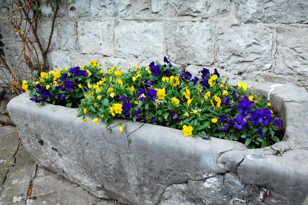 a stone planter filled with purple and yellow flowers at B&amp;B La Buissonniere in Xhoris