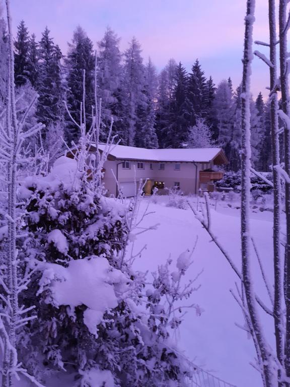 a house covered in snow with trees in the background at Appartement Haus Petra in Leogang