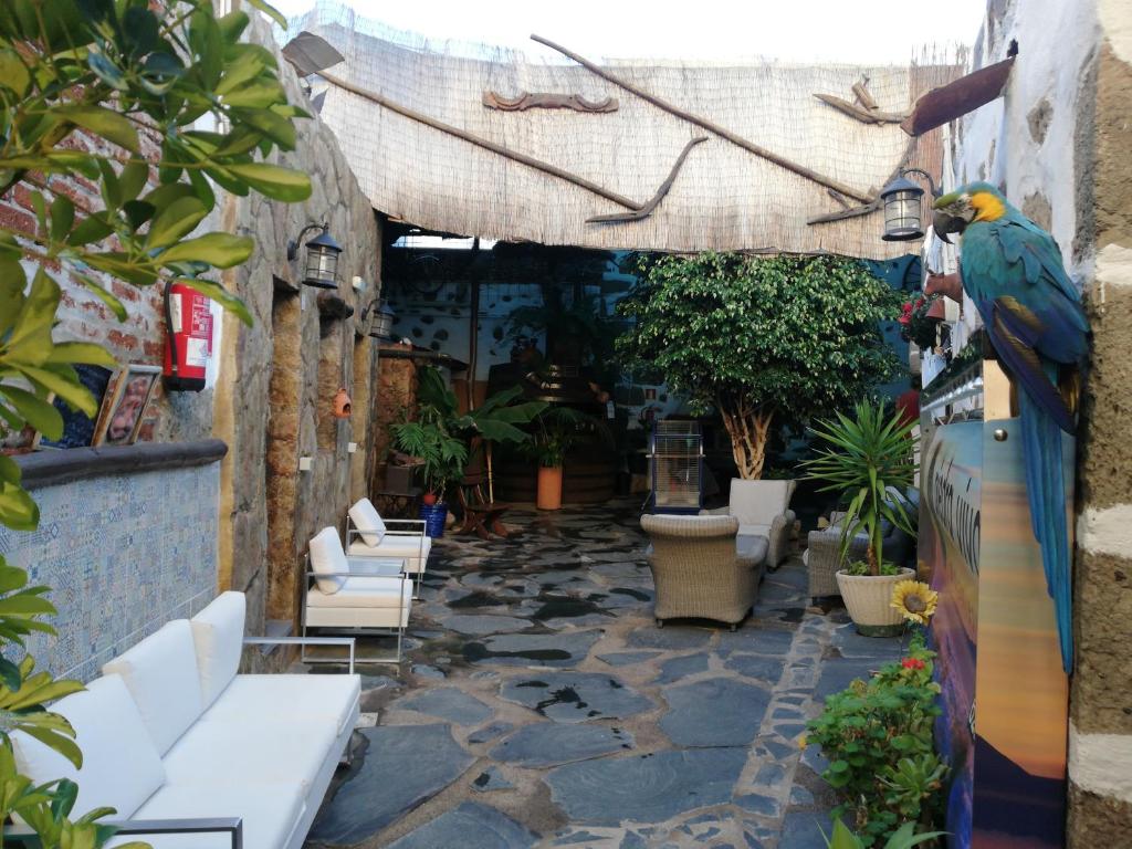 a bird sitting on a stone walkway with chairs and plants at La Piedra Viva Agüimes , Siete hermanos in Agüimes