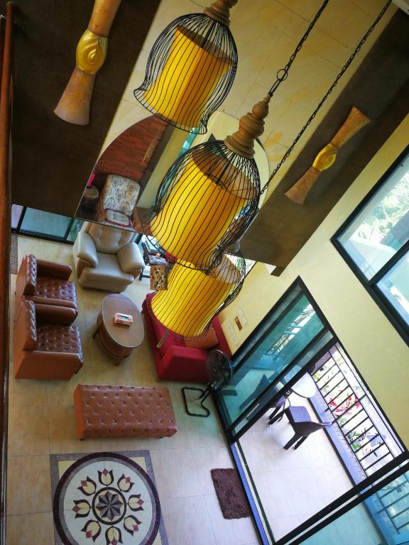 Dolphinplace - Resim 14