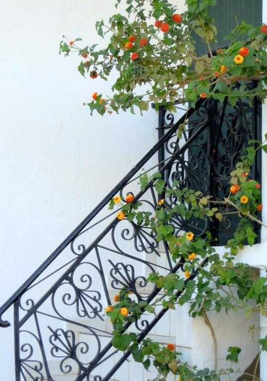 Balkón nebo terasa v ubytování Palemilos Apartments