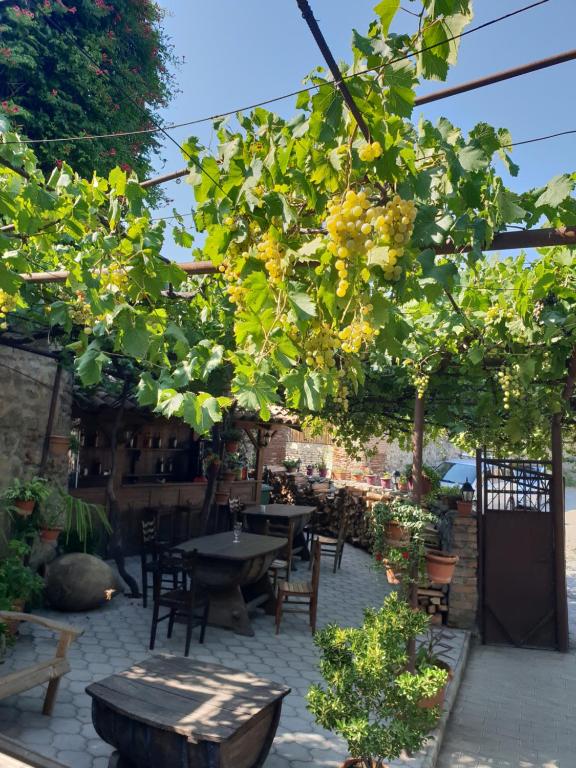 Zahrada ubytování Guest House Kusika