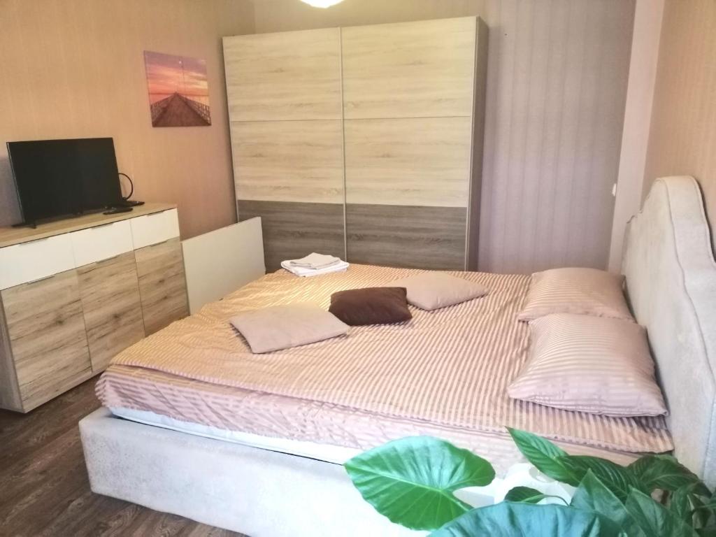 キーウにあるKomnata v gostevom dome na metro Osokorkiのベッドルーム1室(ピンクの枕が付いた大型ベッド1台付)