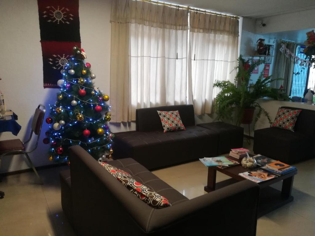 a living room with a christmas tree and a couch at Hostal Alborada Riobamba in Riobamba