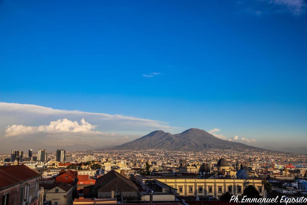 a view of a city with a mountain in the background at B&B Nel Regno di Napoli in Naples