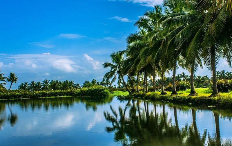 Alleppey Beach