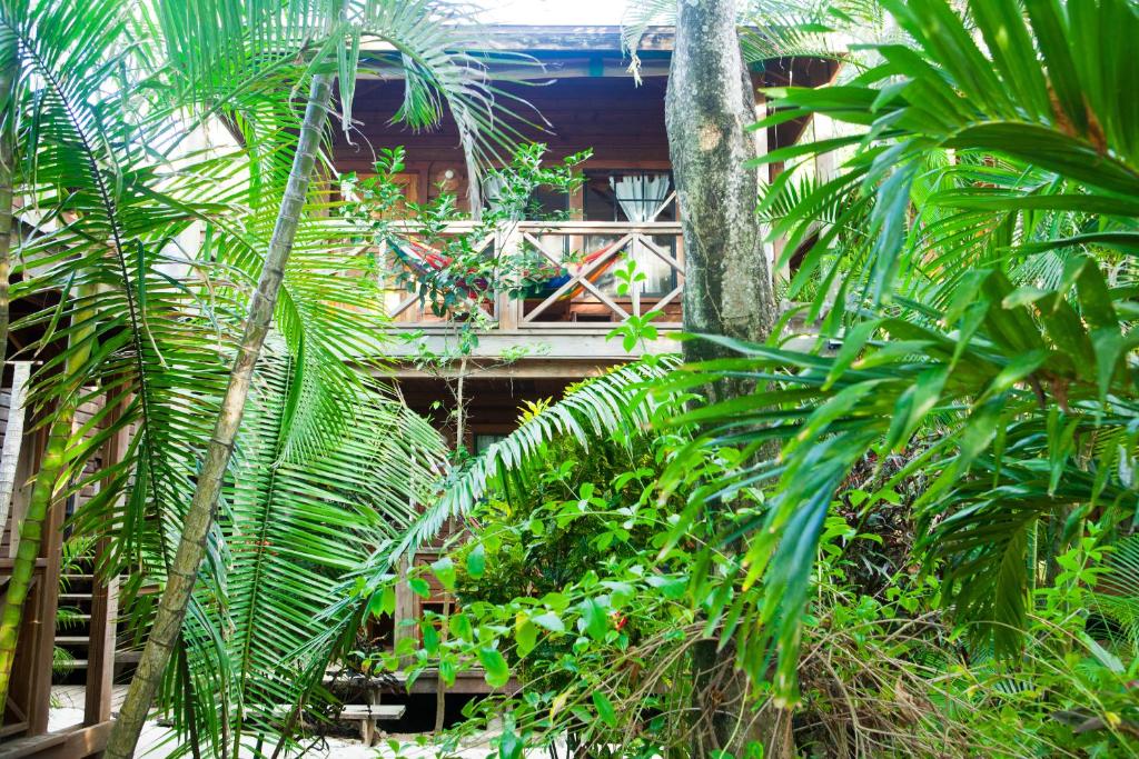 Zahrada ubytování Las Rocas Resort and Dive Center