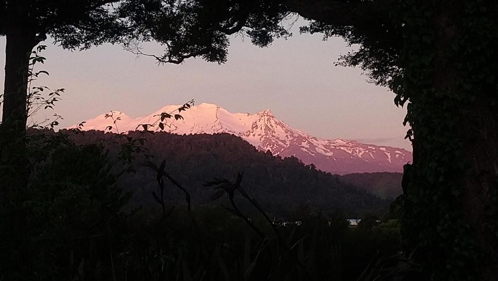 Two Rivers Ohakune - Boutique Bed and Breakfast - Resim 39