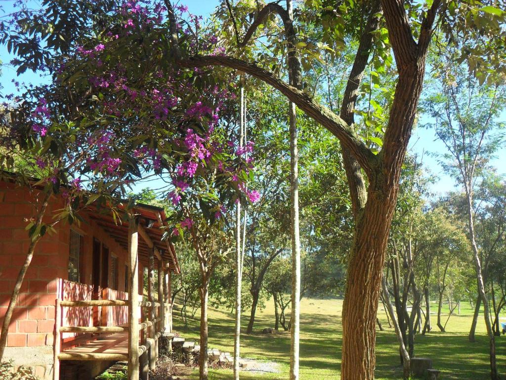  Hotel Sambaetiba