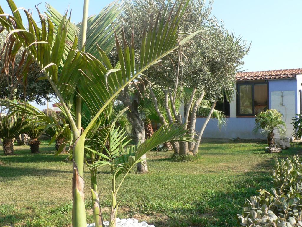 Zahrada ubytování B&B Villa Francesco